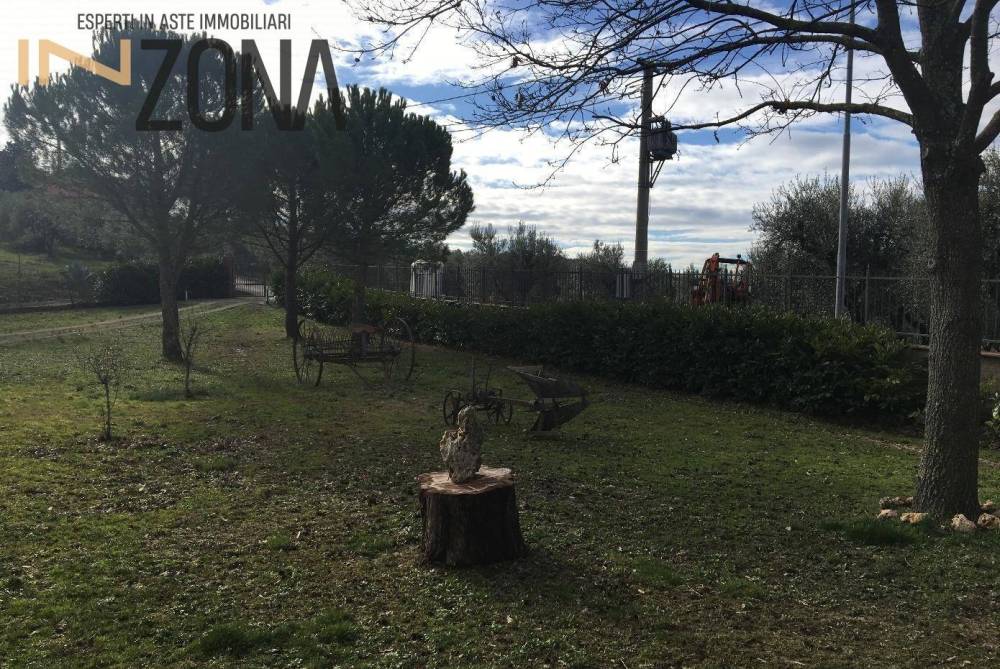 immagine annuncio 7 di 13