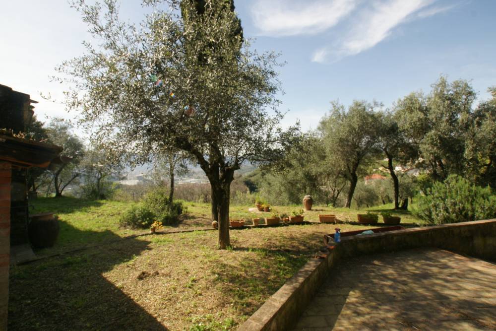 immagine annuncio 4 di 13