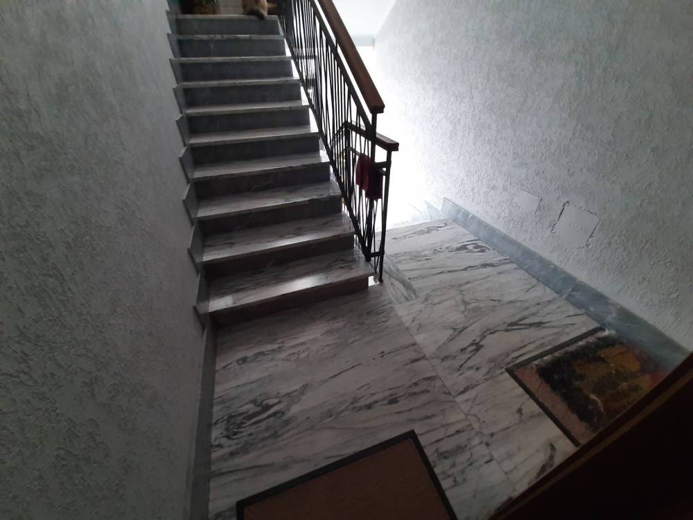 immagine annuncio 9 di 14