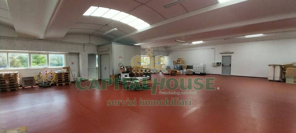 immagine annuncio 3 di 9