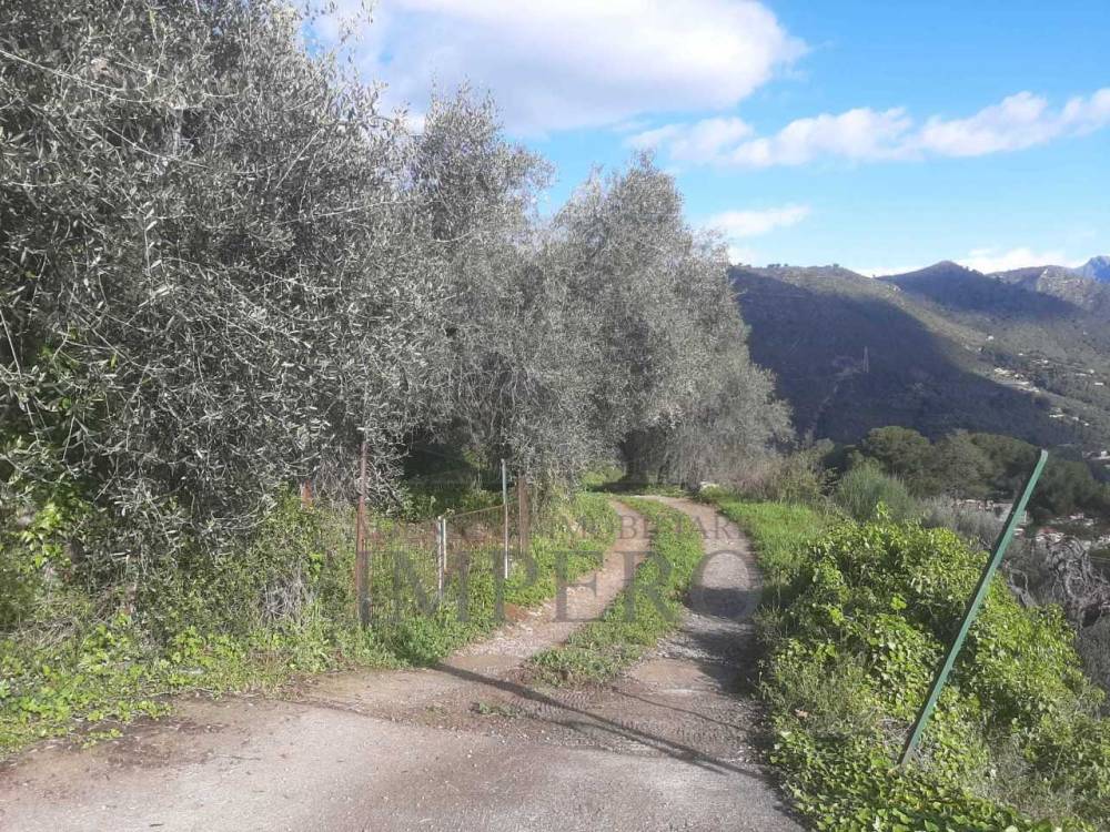 immagine annuncio 1 di 6
