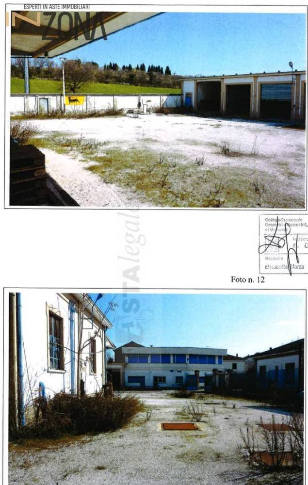 immagine annuncio 3 di 13
