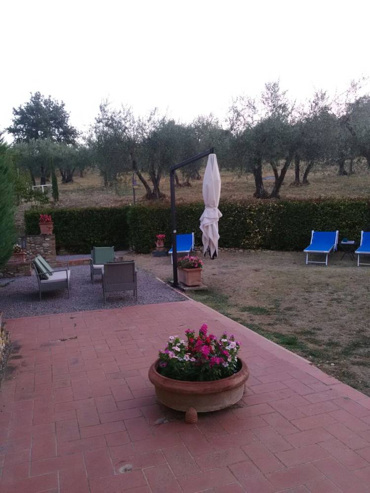 immagine annuncio 5 di 13