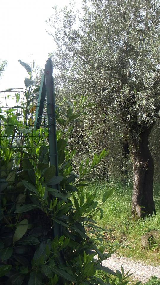 immagine annuncio 1 di 7
