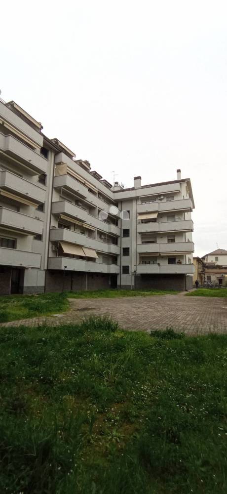 immagine annuncio 8 di 13