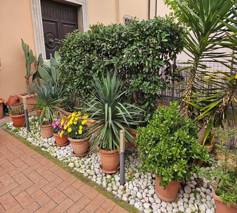 immagine annuncio 10 di 13