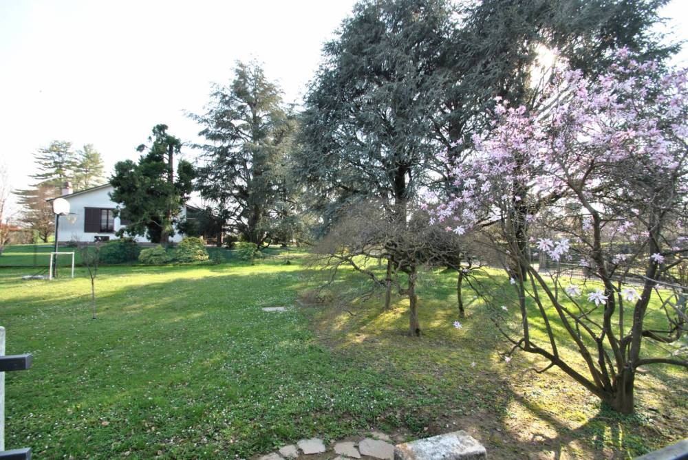 immagine annuncio 7 di 13