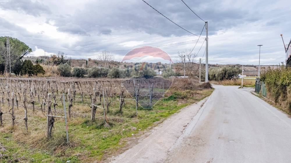 immagine annuncio 11 di 12