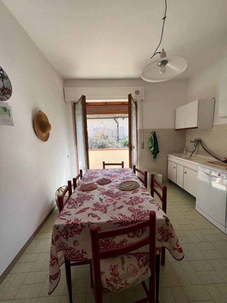 immagine annuncio 9 di 13