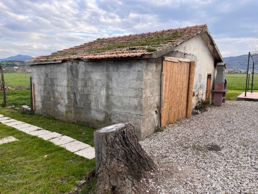 immagine annuncio 12 di 13