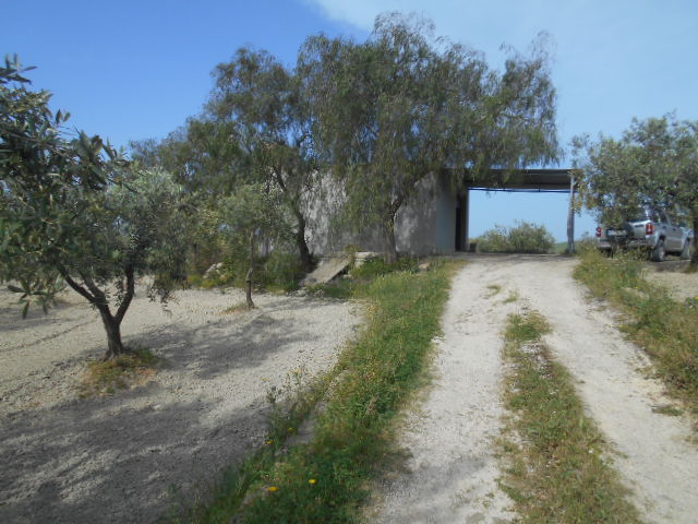 immagine annuncio 6 di 13