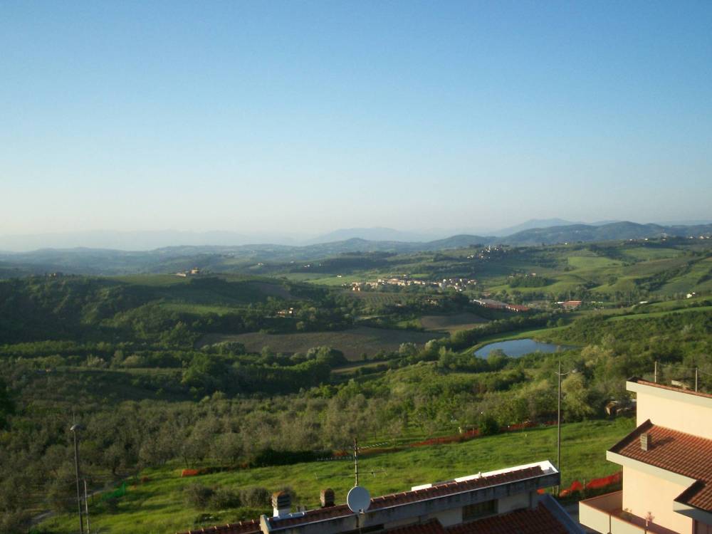 immagine annuncio 10 di 11