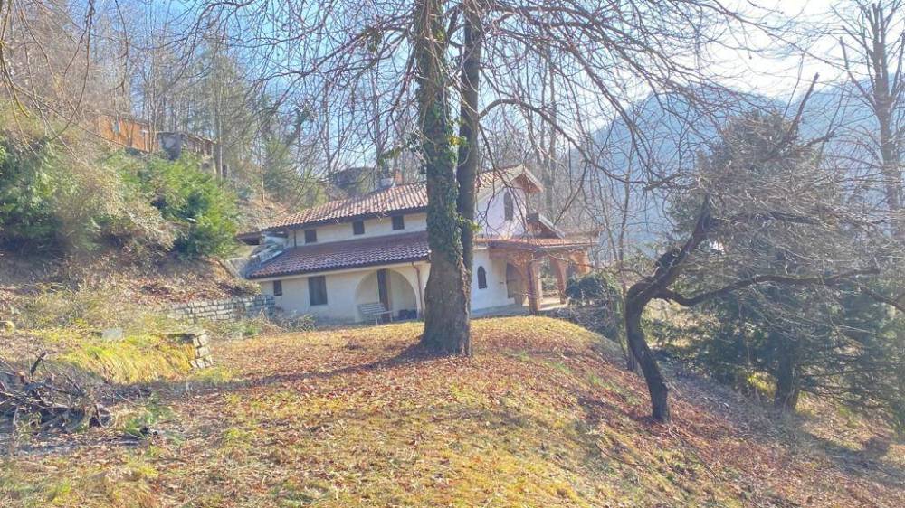 immagine annuncio 5 di 14