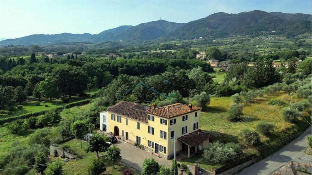 immagine annuncio 8 di 13