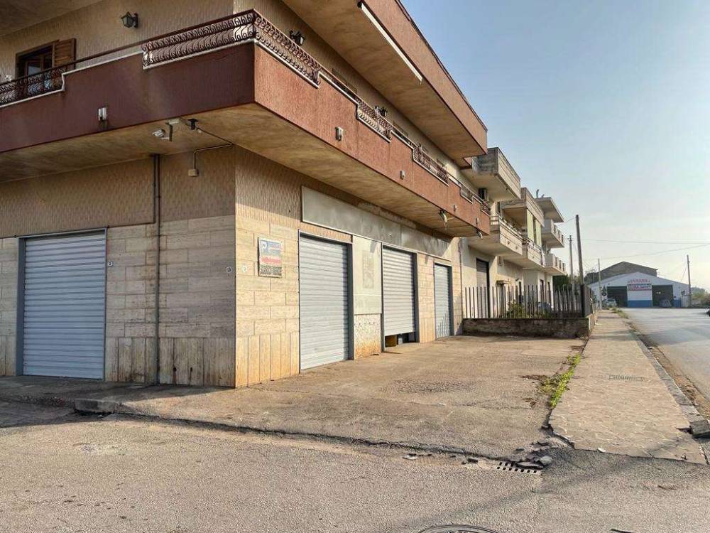 immagine annuncio 11 di 13