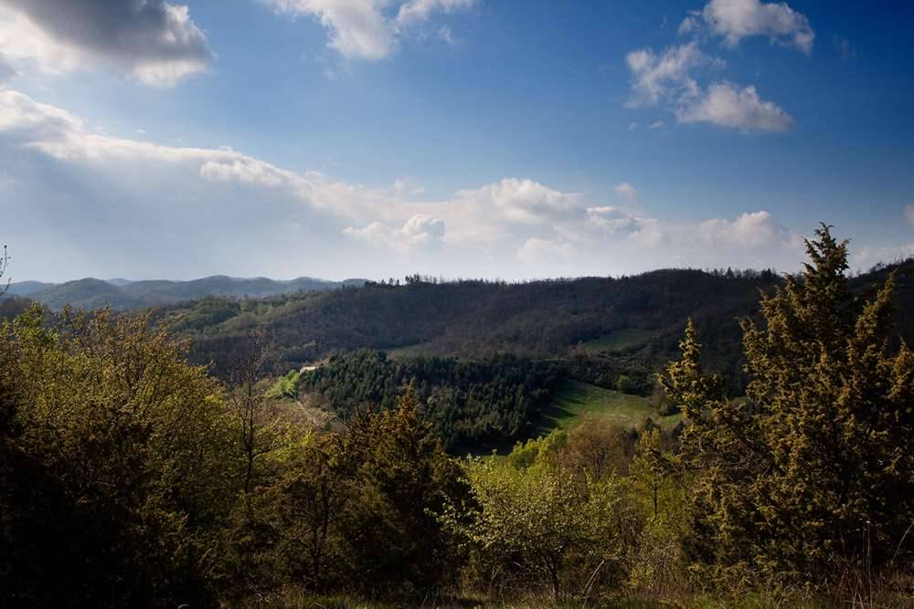 immagine annuncio 7 di 13