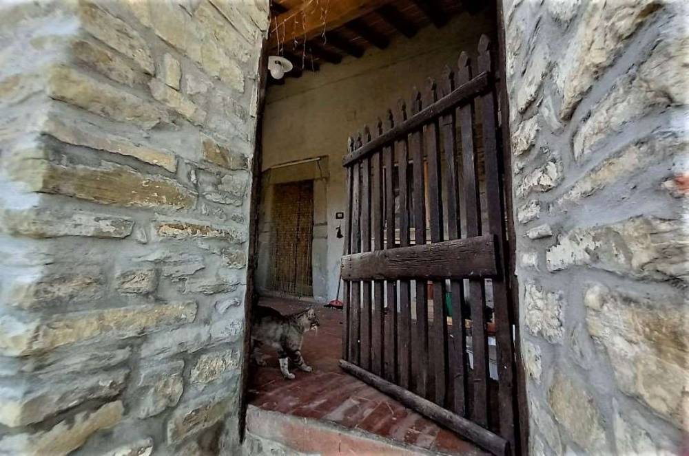 immagine annuncio 10 di 13