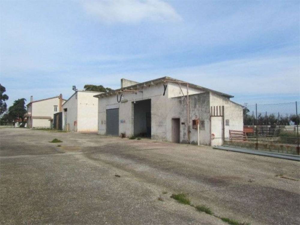 immagine annuncio 6 di 13