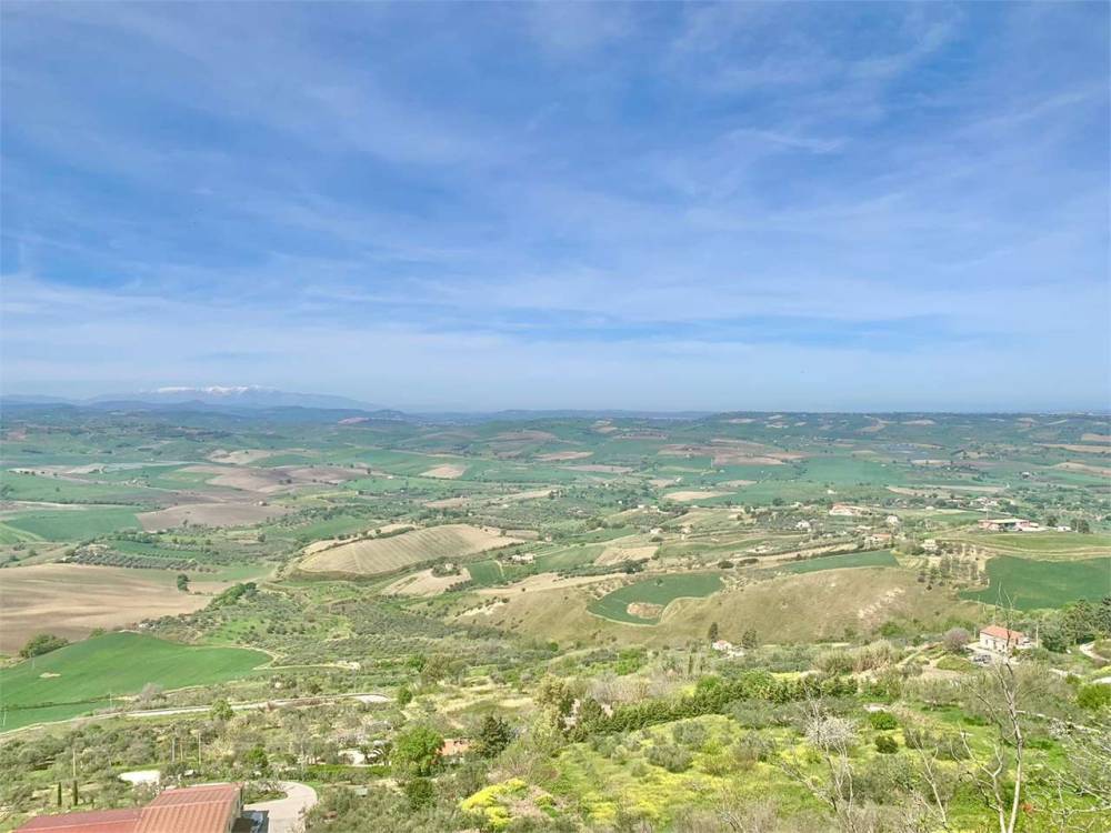 immagine annuncio 2 di 7