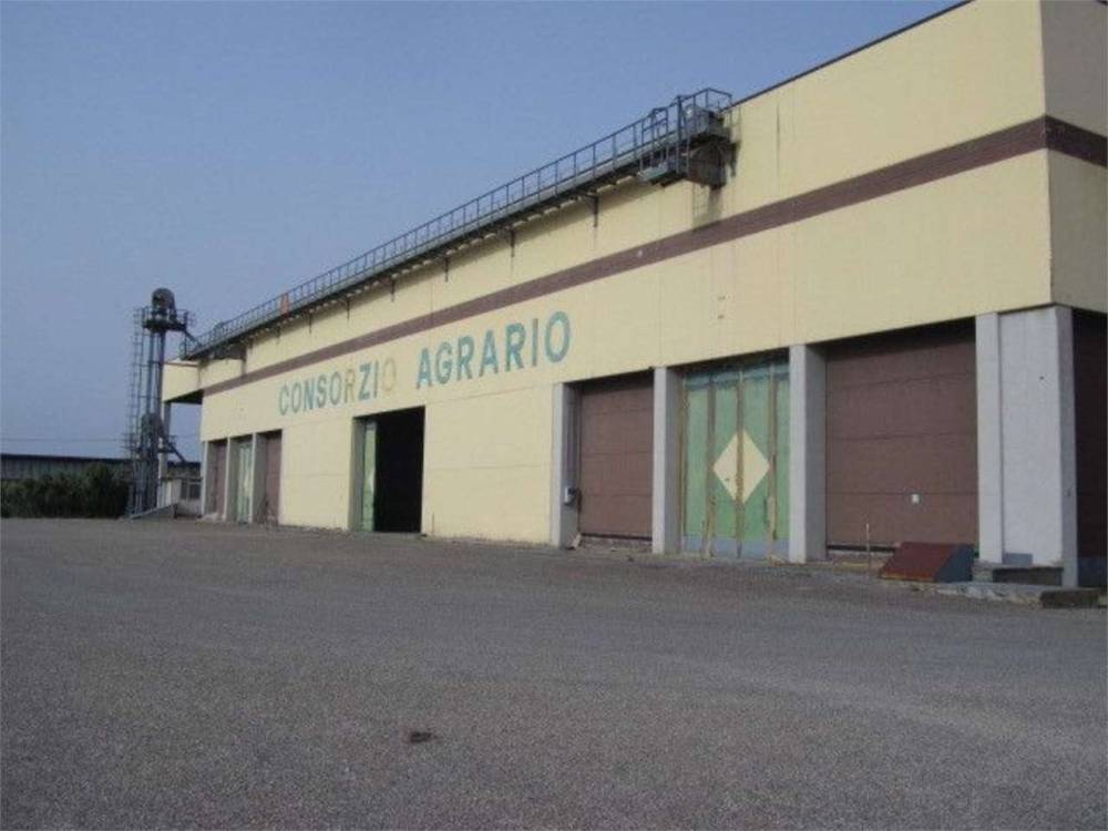 immagine annuncio 1 di 13