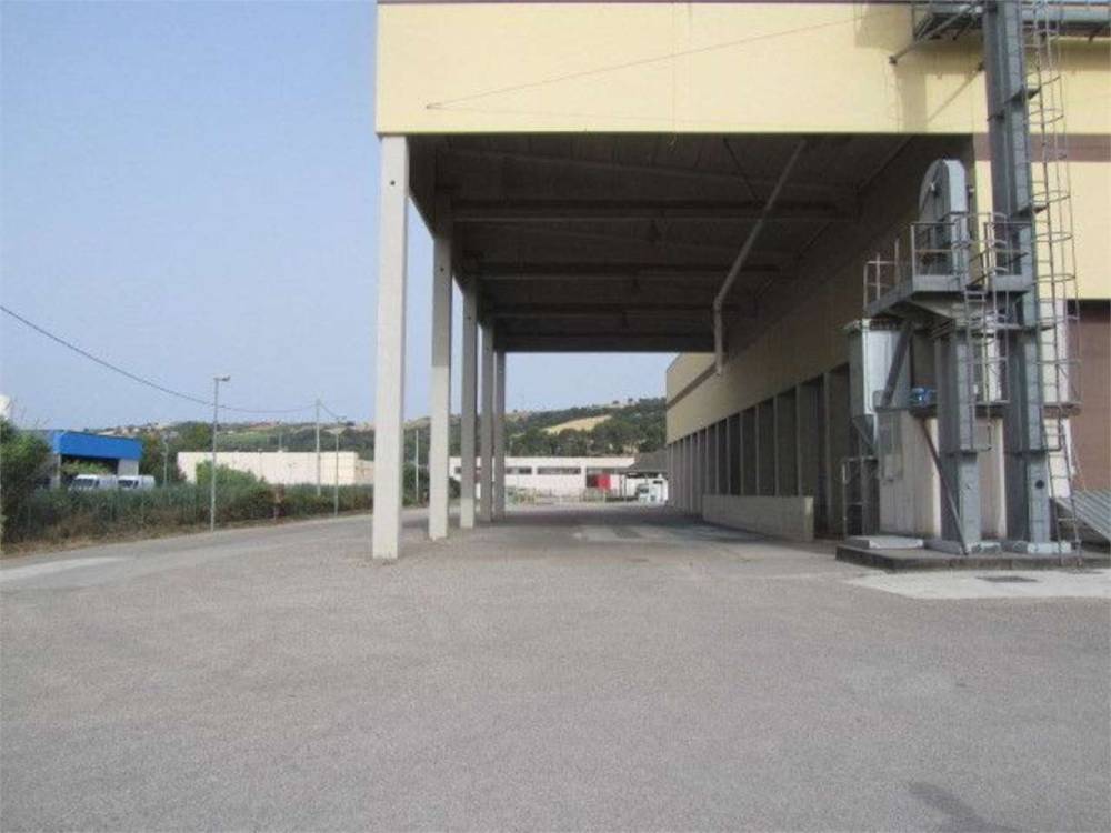 immagine annuncio 6 di 13