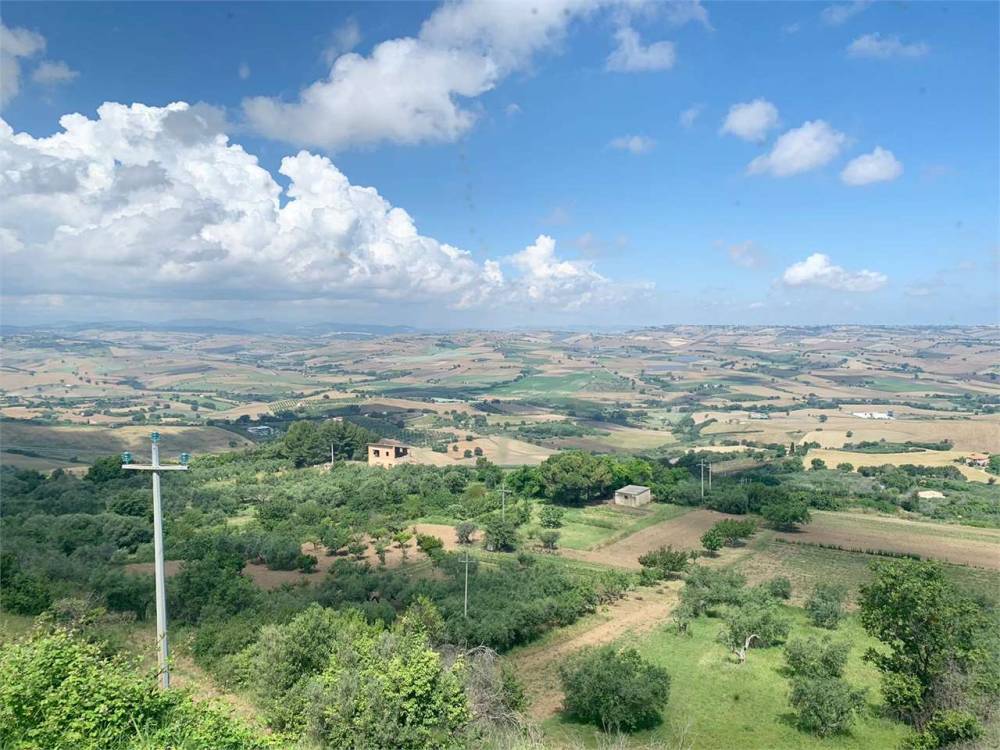 immagine annuncio 3 di 13