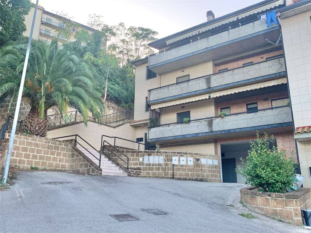 immagine annuncio 7 di 12