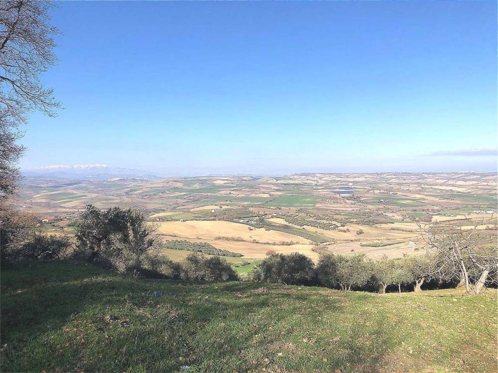 immagine annuncio 1 di 6
