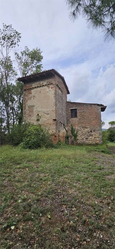 immagine annuncio 12 di 14