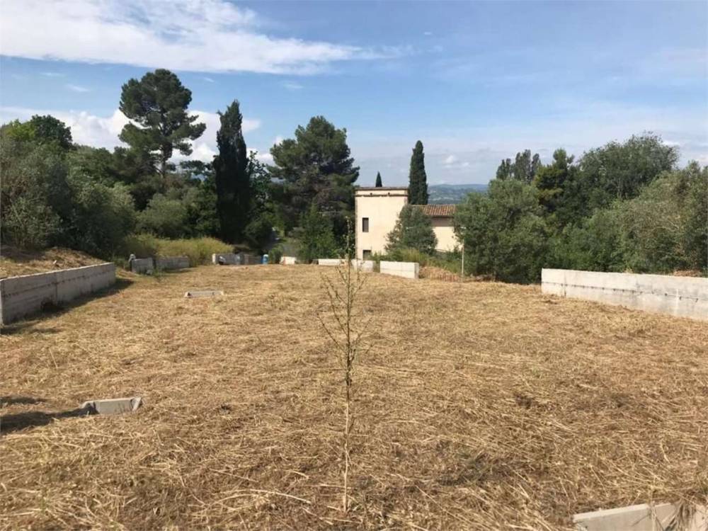 immagine annuncio 2 di 6