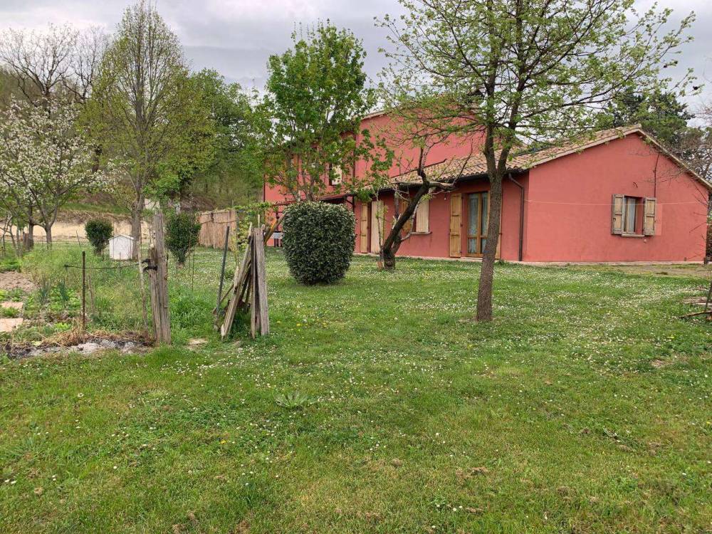 immagine annuncio 8 di 13