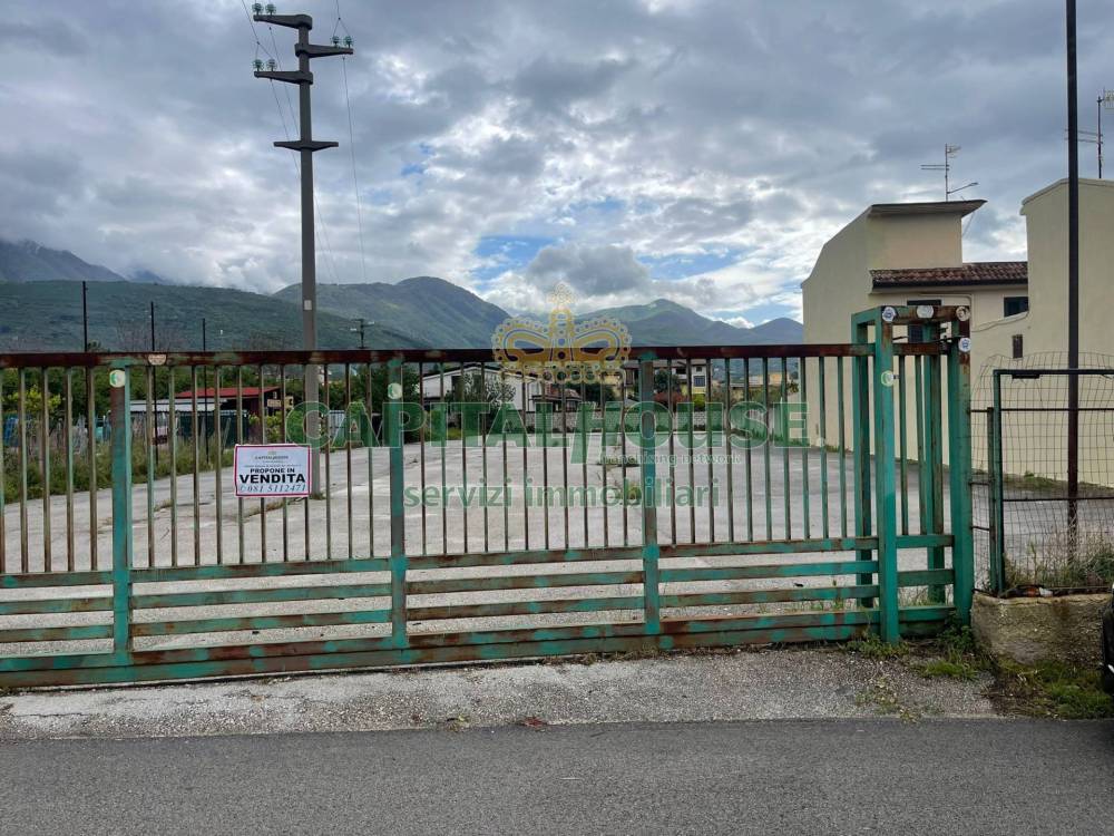 immagine annuncio 1 di 7