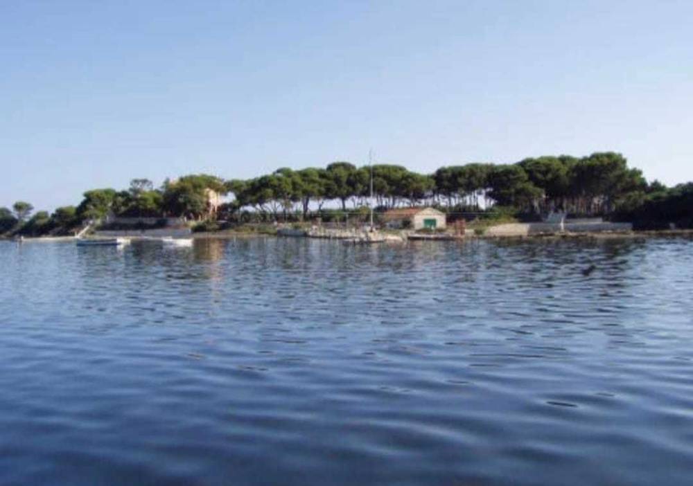 immagine annuncio 5 di 14
