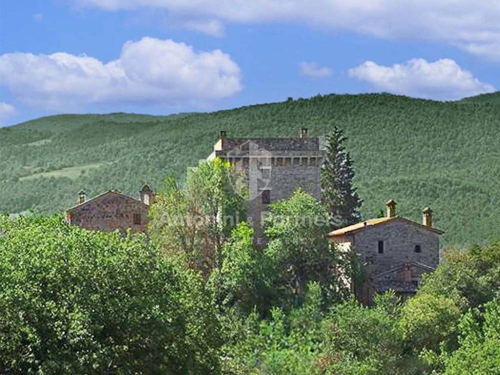 immagine annuncio 8 di 13