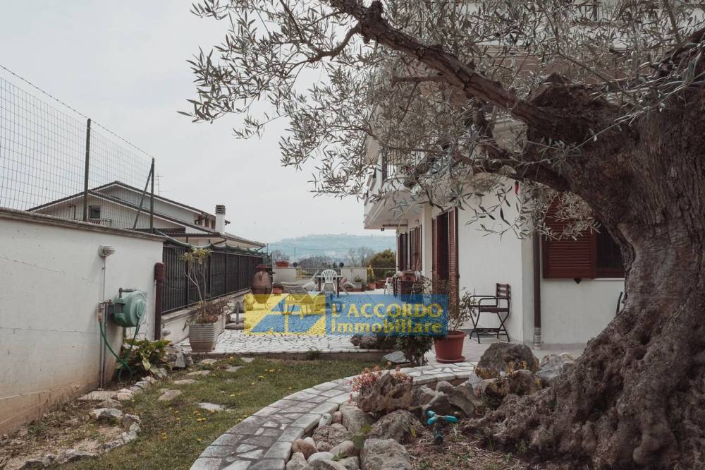 immagine annuncio 8 di 13