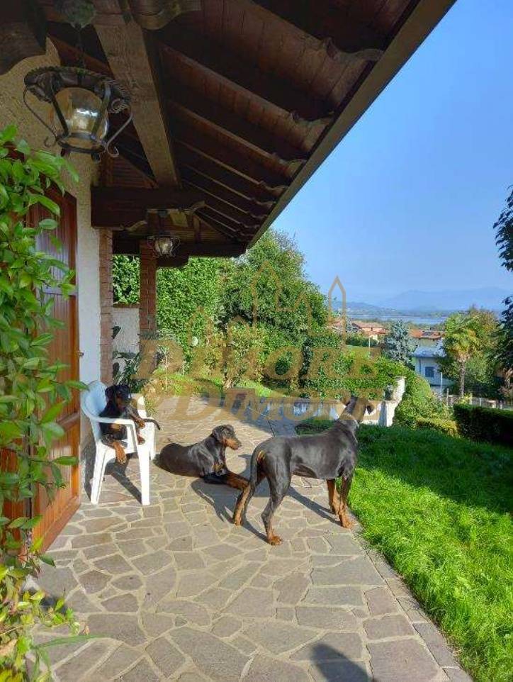 immagine annuncio 1 di 13