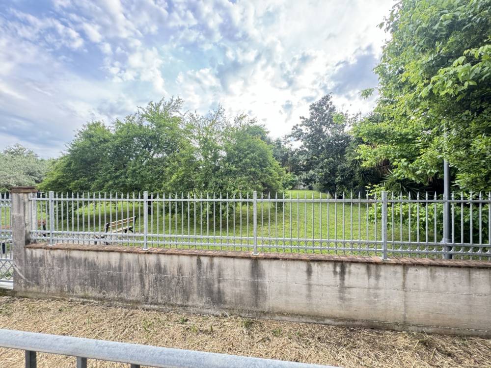 immagine annuncio 6 di 13