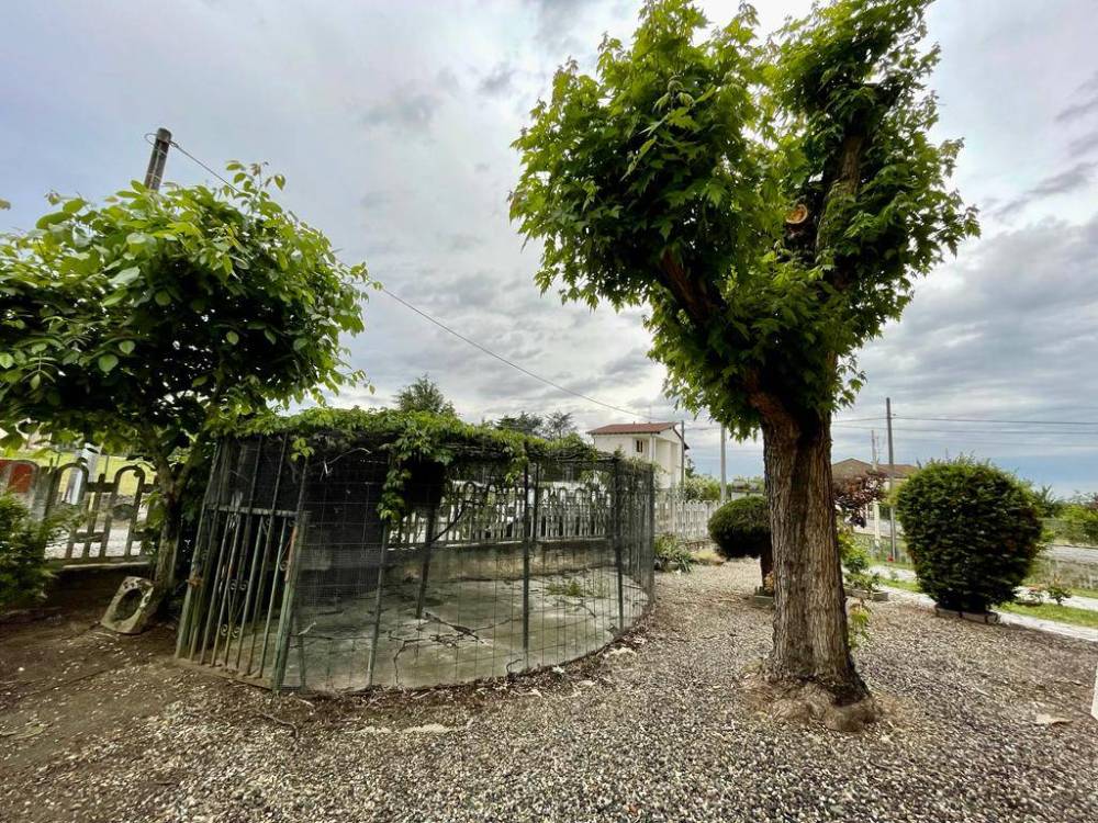immagine annuncio 8 di 13