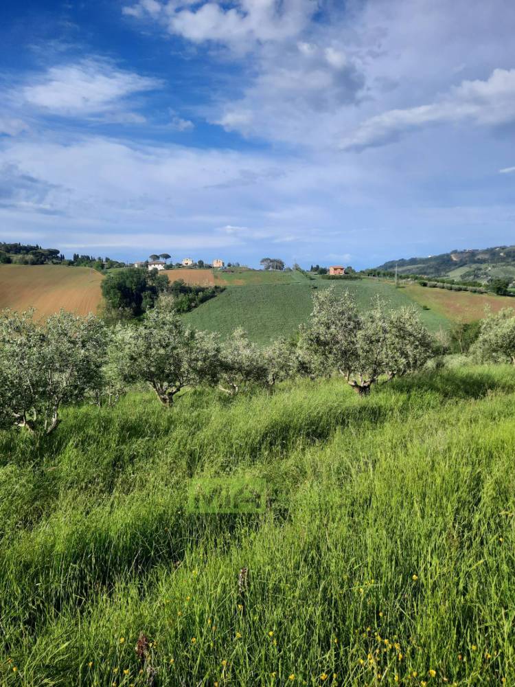 immagine annuncio 2 di 7
