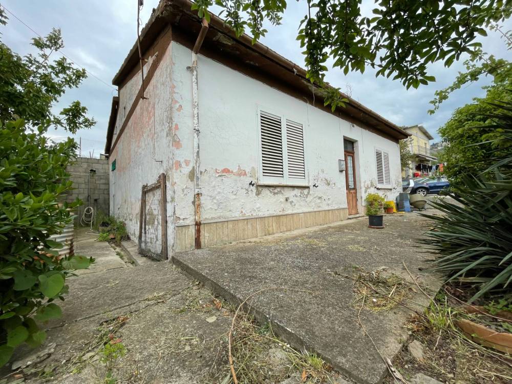 immagine annuncio 1 di 13