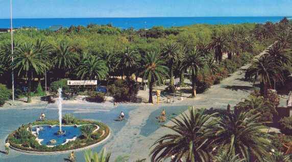 immagine annuncio 3 di 7