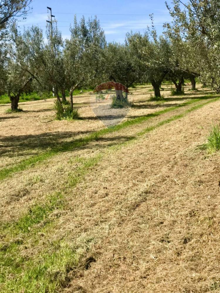 immagine annuncio 11 di 13