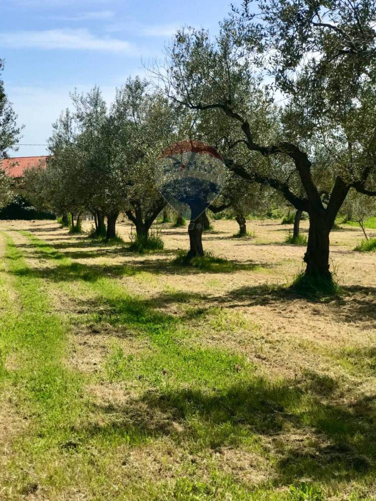 immagine annuncio 12 di 13
