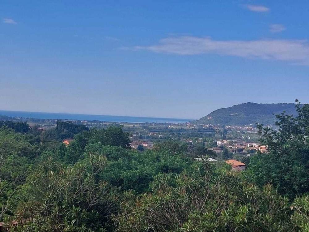 immagine annuncio 6 di 9