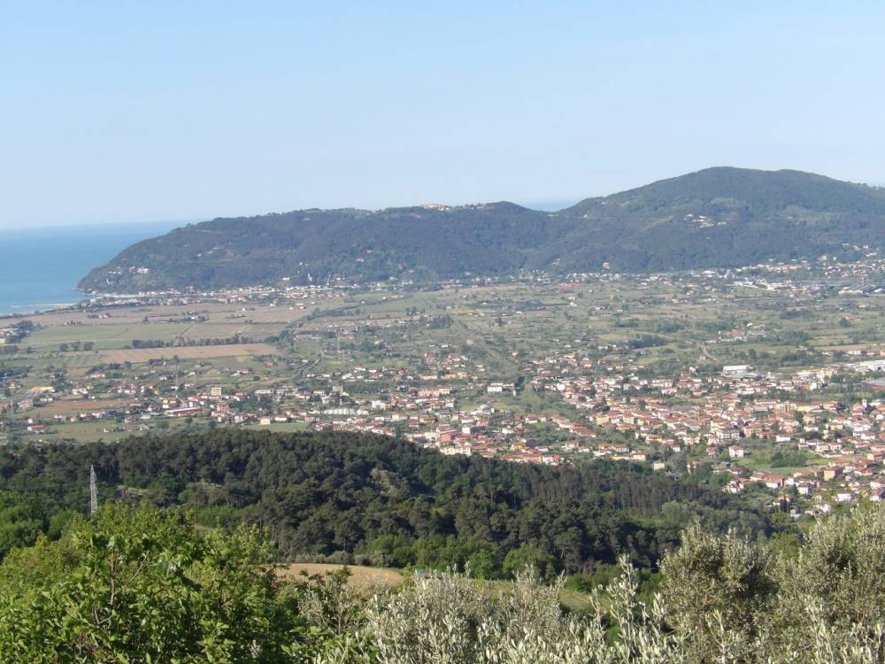 immagine annuncio 2 di 11