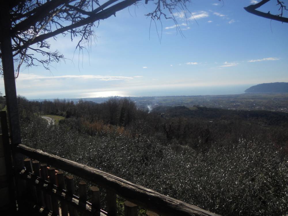 immagine annuncio 6 di 11