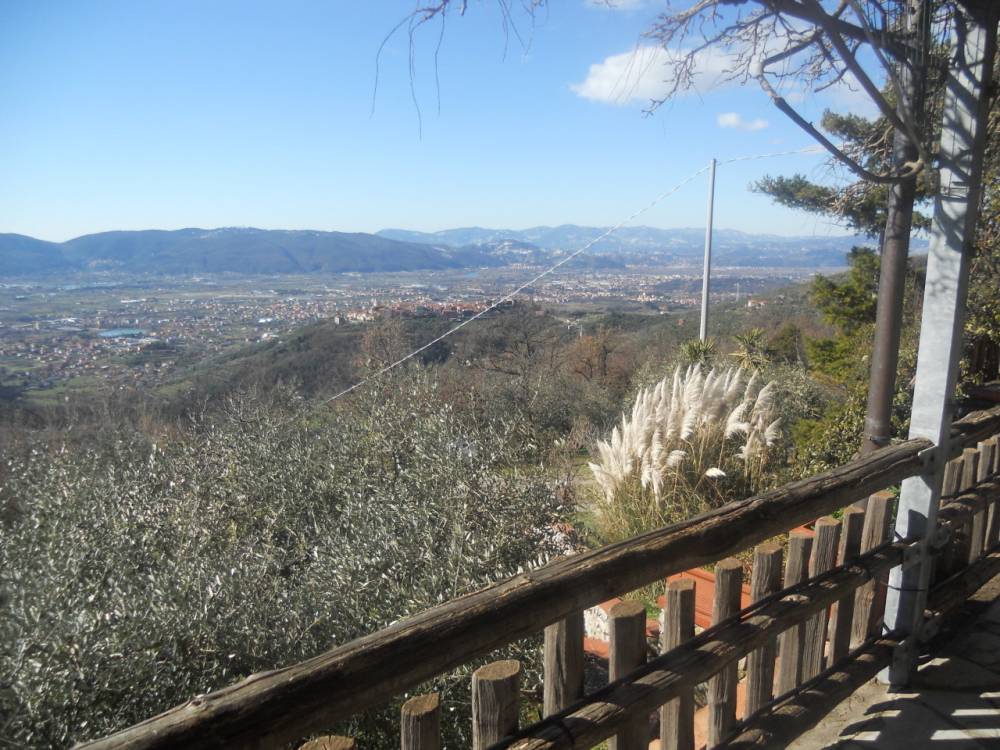 immagine annuncio 7 di 11