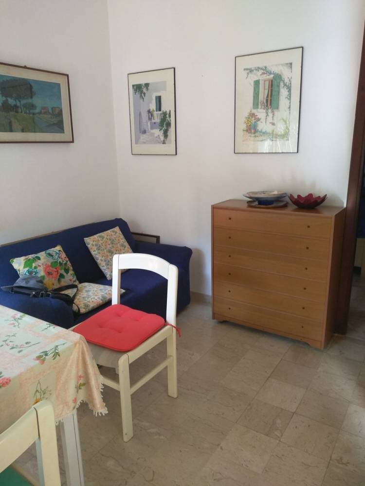 immagine annuncio 4 di 13