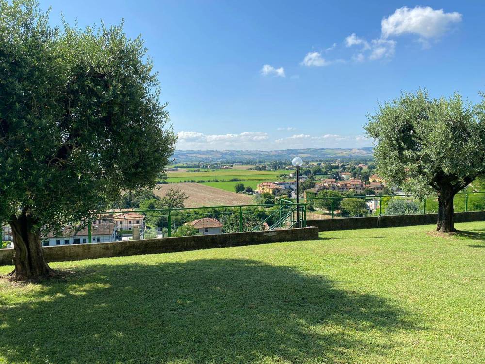 immagine annuncio 8 di 13