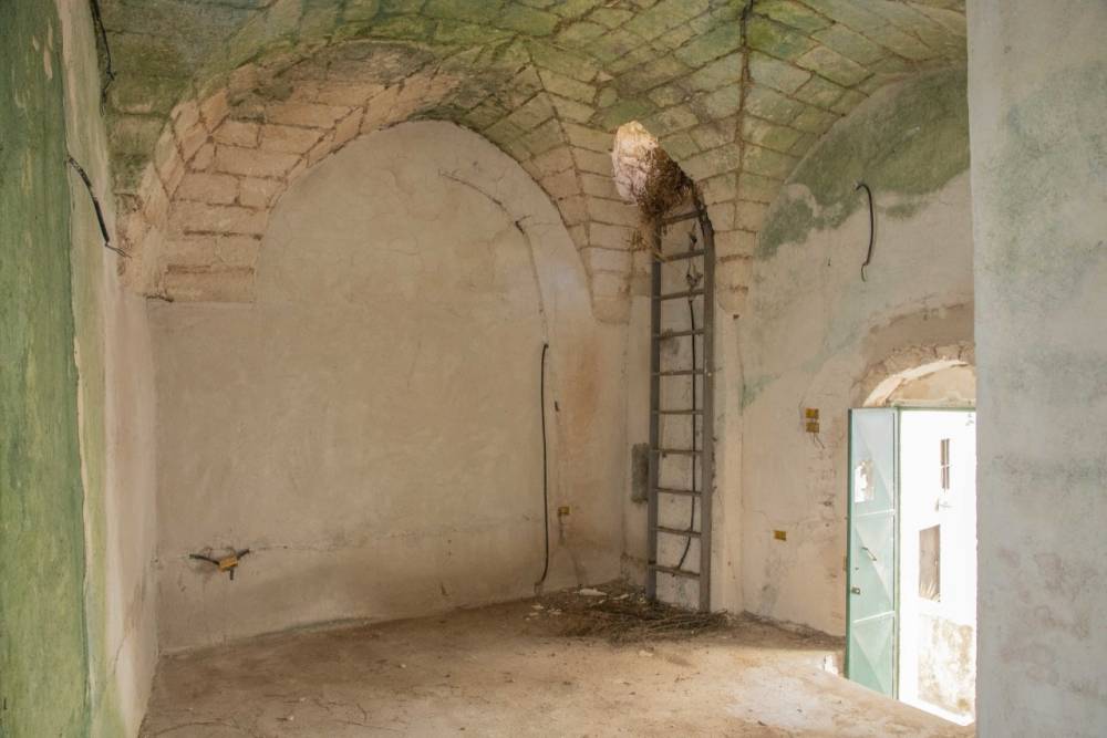 immagine annuncio 8 di 13